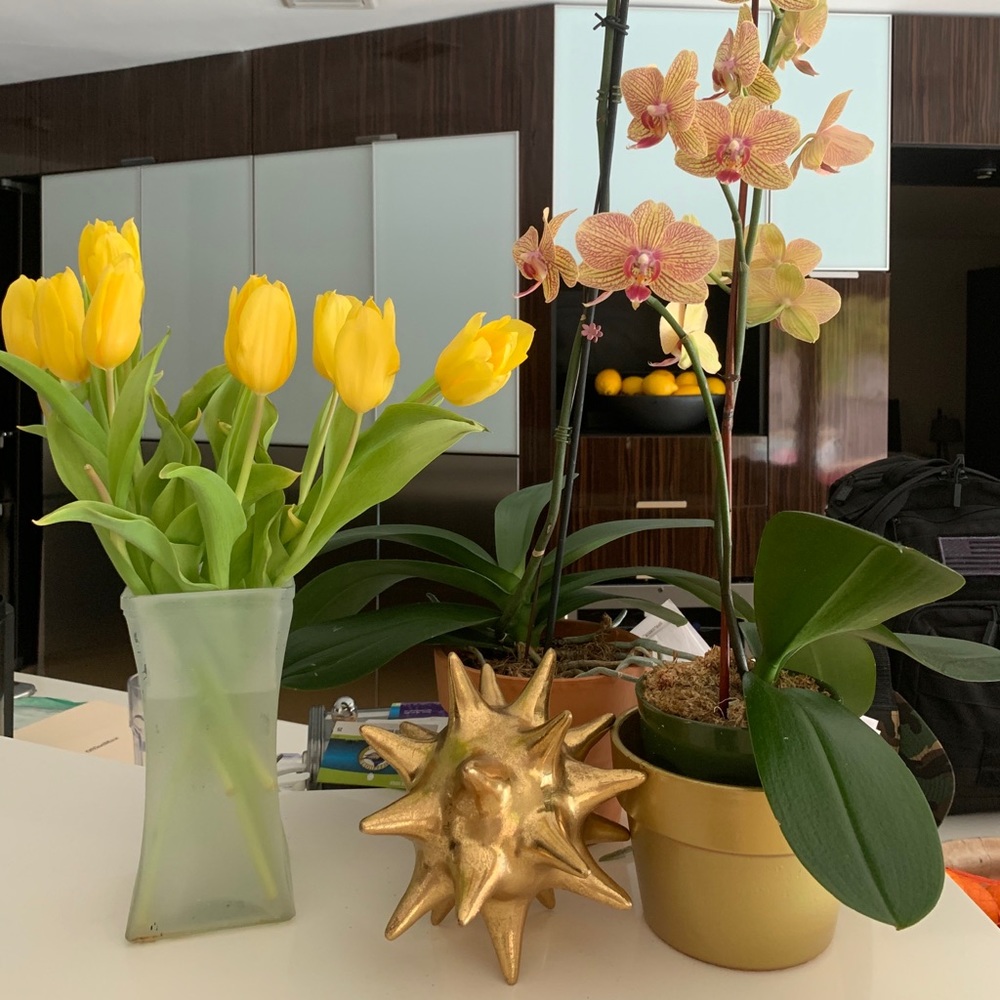 Meet your Posher, Jaclyn